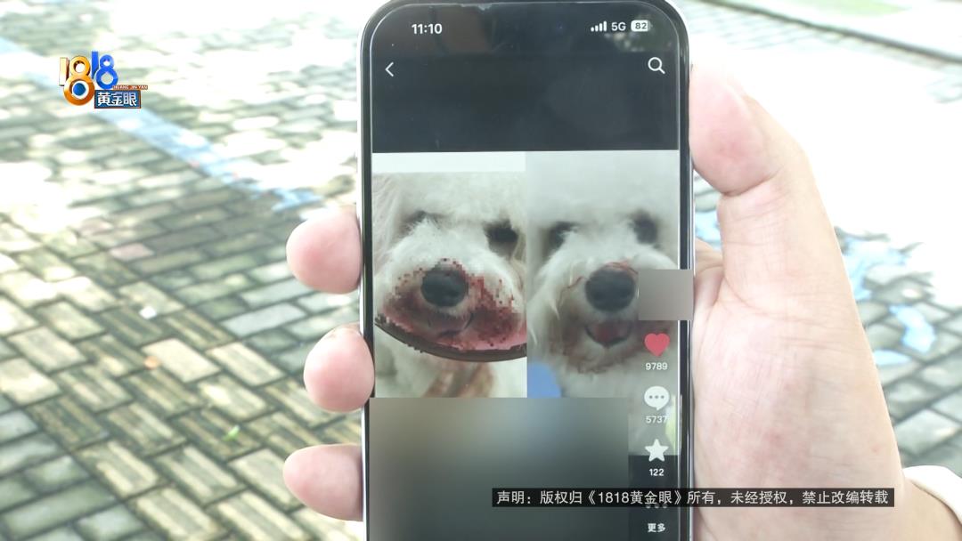 DƬ